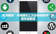 实测辅助”羊城牌乐汇外卦辅助软件”开挂详细教程