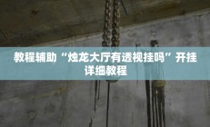 教程辅助“烛龙大厅有透视挂吗”开挂详细教程