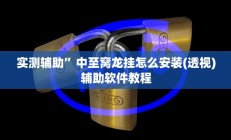 实测辅助”中至窝龙挂怎么安装(透视)辅助软件教程