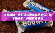 实测辅助”贵阳微乐捉鸡麻将怎么开挂苹果手机”开挂详细教程