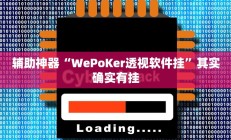 辅助神器“WePoKer透视软件挂”其实确实有挂