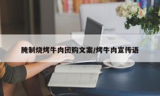 腌制烧烤牛肉团购文案/烤牛肉宣传语