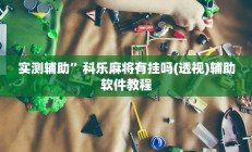 实测辅助”博乐填大坑通用挂”开挂详细教程