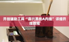 开挂辅助工具“嘉兴黑桃A内挂”详细开挂教程