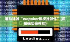 辅助神器“wepoker透视挂软件”(原来确实是有挂)
