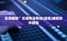 实测辅助”乐胡有没有挂(透视)辅助软件教程