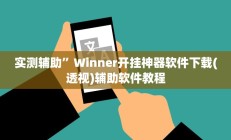 实测辅助”Winner开挂神器软件下载(透视)辅助软件教程