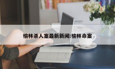 榆林杀人案最新新闻:榆林命案