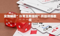 实测辅助”扑克王有挂吗”开挂详细教程