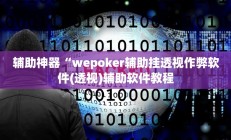辅助神器“wepoker辅助挂透视作弊软件(透视)辅助软件教程