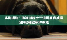 实测辅助”哈狗游戏十三道到底有挂吗(透视)辅助软件教程