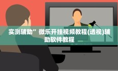 实测辅助”微乐开挂视频教程(透视)辅助软件教程