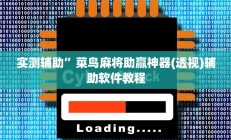 实测辅助”菜鸟麻将助赢神器(透视)辅助软件教程