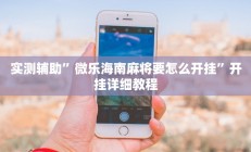 实测辅助”来来拼十通用挂(透视)辅助软件教程
