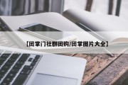 【团掌门社群团购/团掌图片大全】