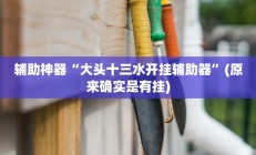 实测辅助”功夫川麻辅助器安装包”其实确实有挂