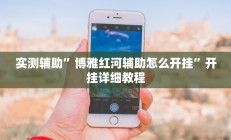 实测辅助”博雅红河辅助怎么开挂”开挂详细教程