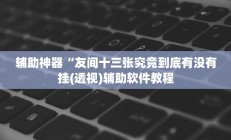 辅助神器“友间十三张究竟到底有没有挂(透视)辅助软件教程
