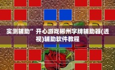 实测辅助”开心游戏郴州字牌辅助器(透视)辅助软件教程