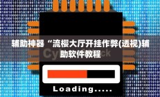 辅助神器“流樱大厅开挂作弊(透视)辅助软件教程