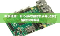 实测辅助”开心游戏辅助怎么弄(透视)辅助软件教程