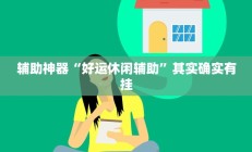 辅助神器“好运休闲辅助”其实确实有挂