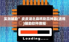 辅助神器“加个菜十三水开挂神器”其实确实有挂