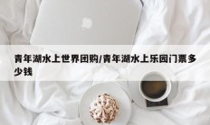 青年湖水上世界团购/青年湖水上乐园门票多少钱