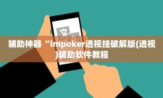 辅助神器“impoker透视挂破解版(透视)辅助软件教程