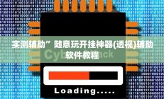 实测辅助”随意玩开挂神器(透视)辅助软件教程