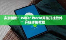 实测辅助”PoKer World用挂开挂软件”开挂详细教程