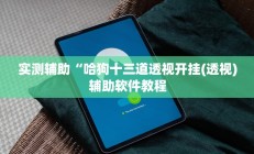 实测辅助“哈狗十三道透视开挂(透视)辅助软件教程