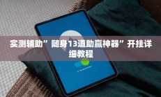 实测辅助”随身13道助赢神器”开挂详细教程