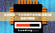 开挂辅助工具“德扑之星开挂透视”其实确实有挂