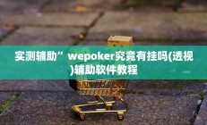 实测辅助”wepoker究竟有挂吗(透视)辅助软件教程