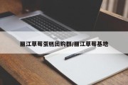 丽江草莓蛋糕团购群/丽江草莓基地
