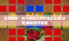 实测辅助”老家游麻将通用挂”开挂详细教程