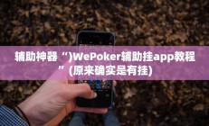 实测辅助”微乐过炸开挂神器”其实确实有挂