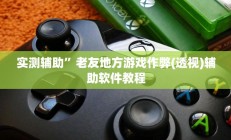 实测辅助”老友地方游戏作弊(透视)辅助软件教程