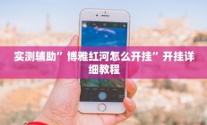 实测辅助”博雅红河怎么开挂”开挂详细教程