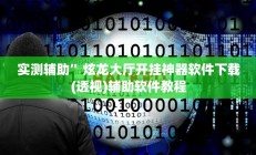 实测辅助”炫龙大厅开挂神器软件下载(透视)辅助软件教程