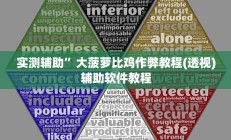 实测辅助”大菠萝比鸡作弊教程(透视)辅助软件教程