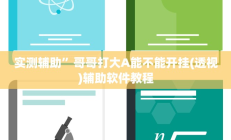 实测辅助”哥哥打大A能不能开挂(透视)辅助软件教程