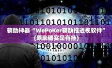 辅助神器“WePoKer辅助挂透视软件”(原来确实是有挂)
