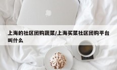 上海的社区团购蔬菜/上海买菜社区团购平台叫什么