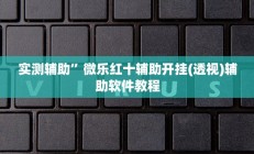 实测辅助”微乐红十辅助开挂(透视)辅助软件教程