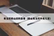 麦当劳鞍山团购套餐（鞍山麦当劳共有几家）