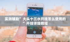 实测辅助”大头十三水开挂怎么使用的”开挂详细教程