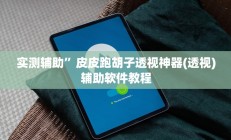 实测辅助”皮皮跑胡子透视神器(透视)辅助软件教程
