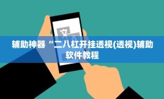 辅助神器“二八杠开挂透视(透视)辅助软件教程